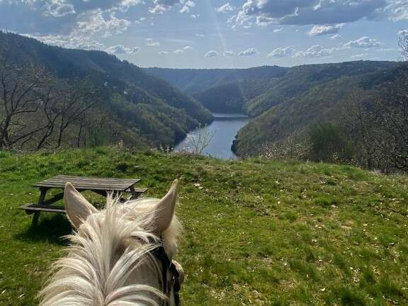 Les Ecuries de Kashi
