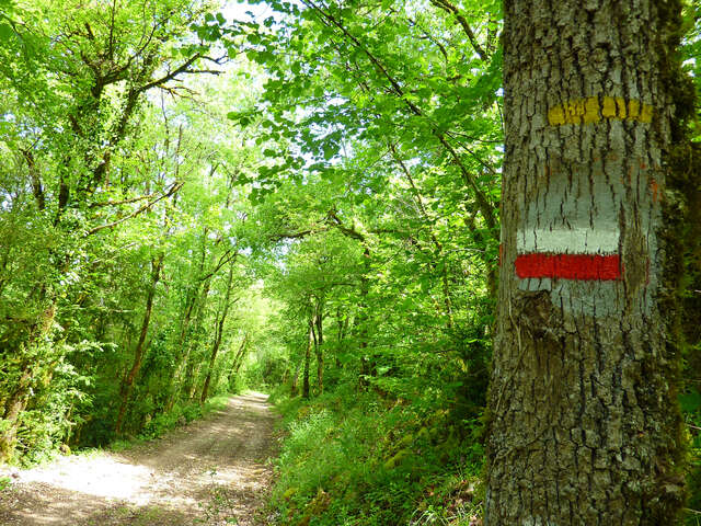 Kalapca Loisirs - VTT, Randonnée, Course orientation