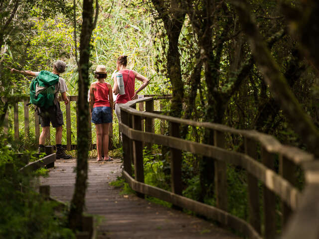 Réserve Naturelle Régionale du Marais de Bonnefont