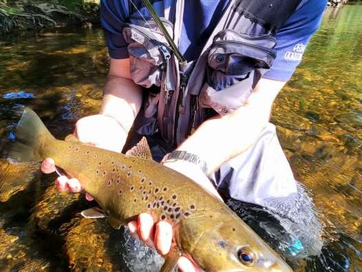 S W R - Soies Waders Réparation