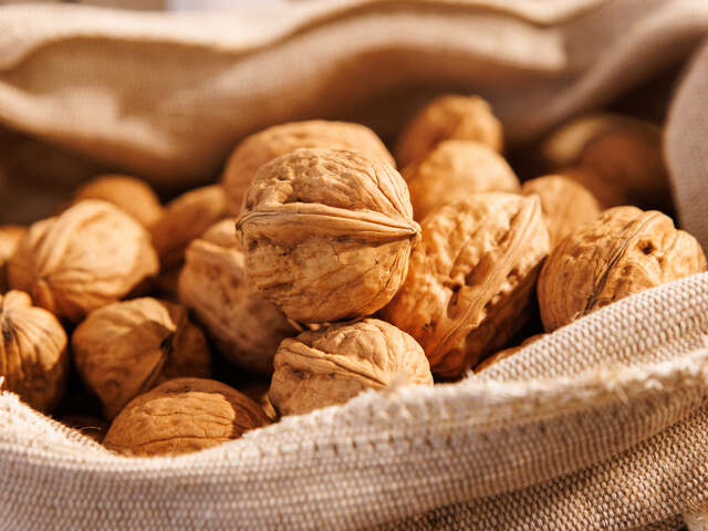Moulin à Huile de Noix