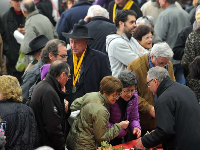 Foire aux truffes de Cuzance