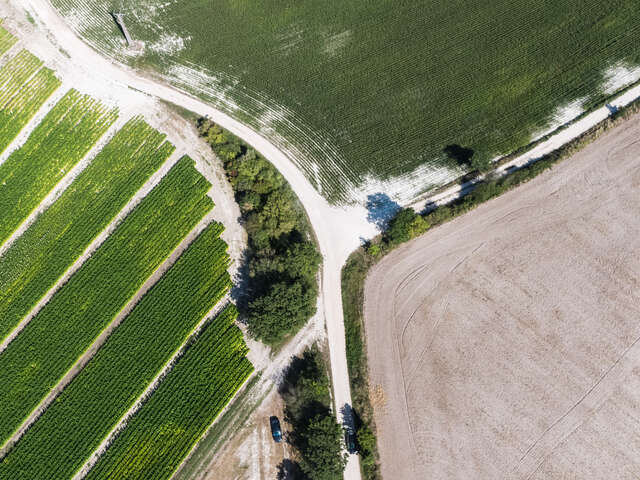 Les graviers blancs