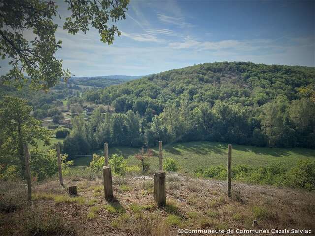 Causse Toujours