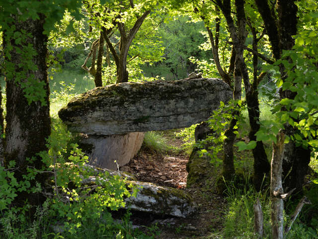 Les Dolmens de Limogne-en-Quercy