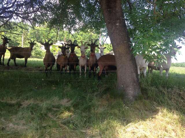Ferme de Gayrac