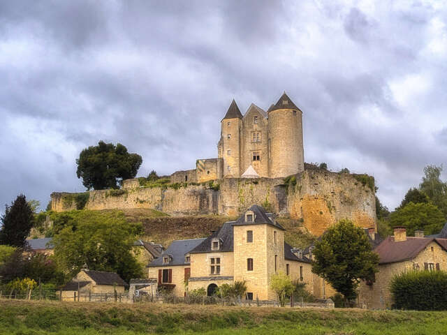 Château de Salignac