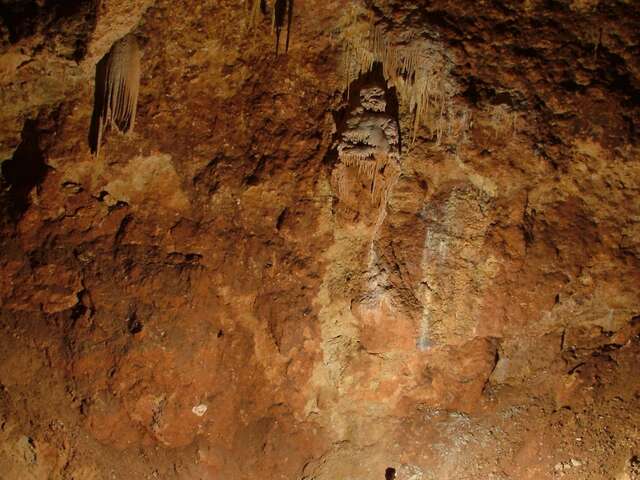 Lot Aventure - Base de Saint-Cirq-Lapopie - Spéléologie