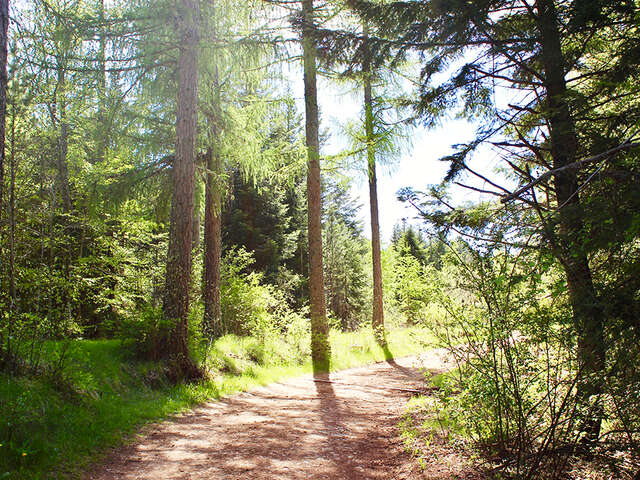 Le Causse de Mende - VTT n°16