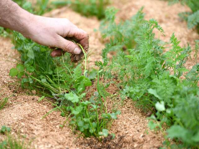 LA FERME DES PETITES MOTTES