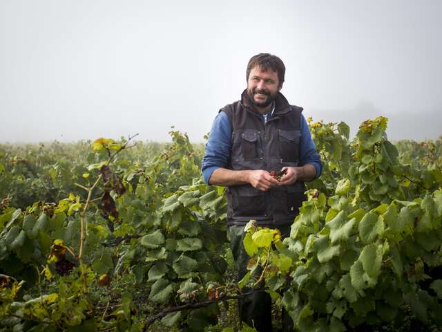 Domaine Bregeon