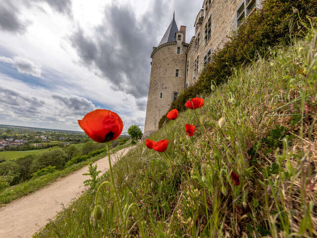 Sous le château, la roche