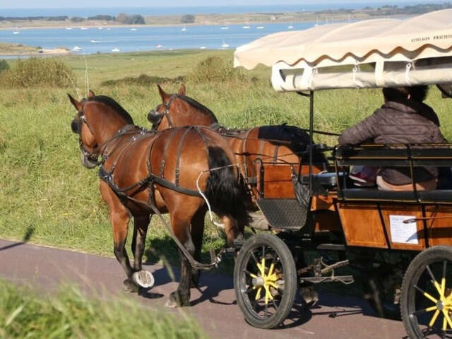 Balade en calèche, descente sur la plage