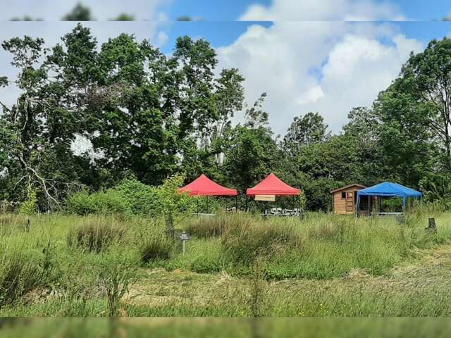 Fête de la nature sur l'Oasis : visite de la forêt jardin