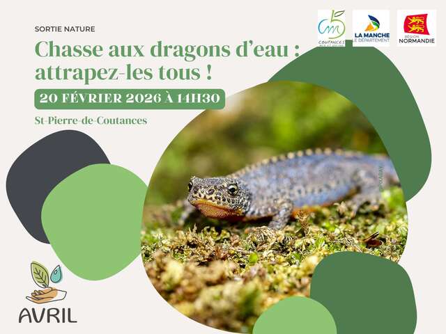 Chasse aux dragons d'eau : attrapez-les tous !