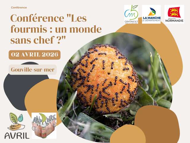 Conférence "Les fourmis :  un monde sans chef ?"