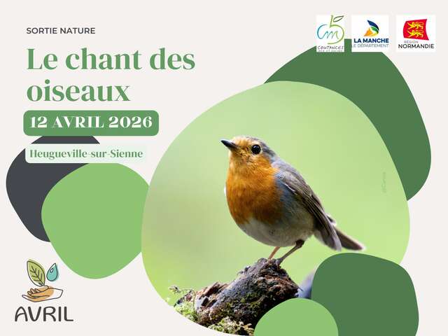 Le chant des oiseaux