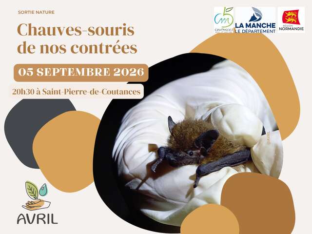Chauves-souris de nos contrées