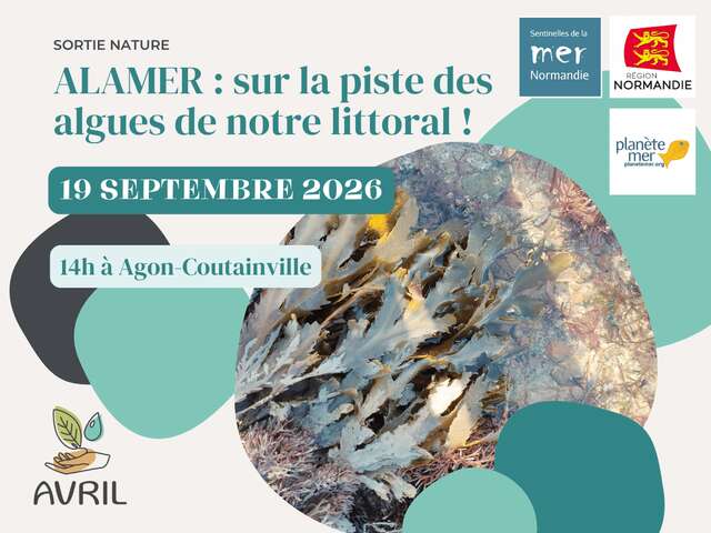 ALAMER : sur la piste des algues de notre littoral !