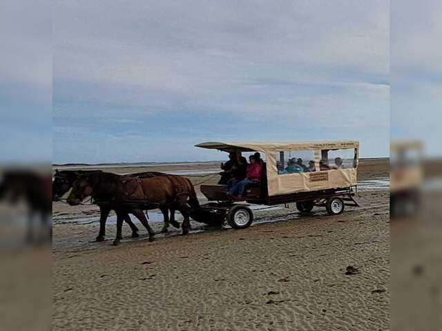 Escapade en calèche
