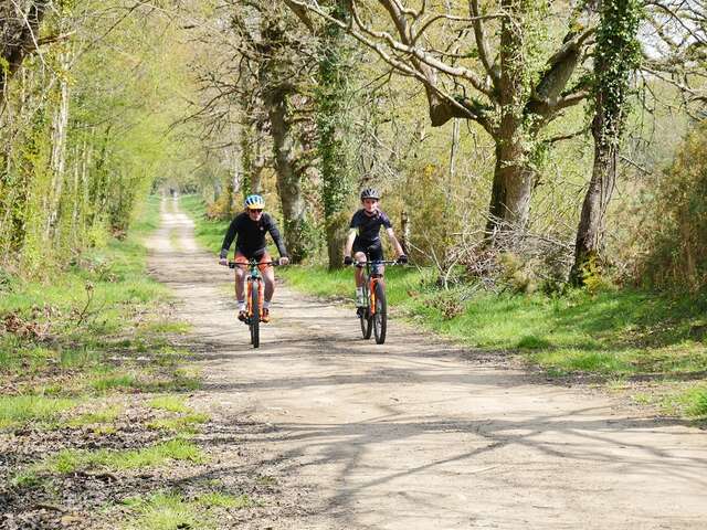 VTT - Les landes michelaises