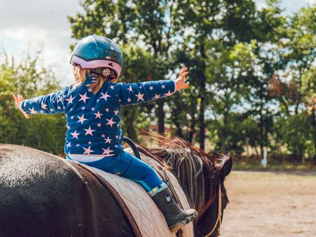 Chasse aux œufs à poney