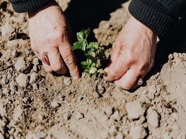 Atelier jardinage