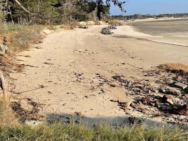 Promenade-découverte nature de la pointe nord du havre de la Vanlée