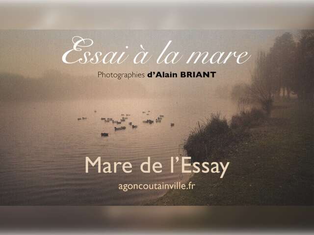 Photographe, Alain Briant "Essai à la mare"