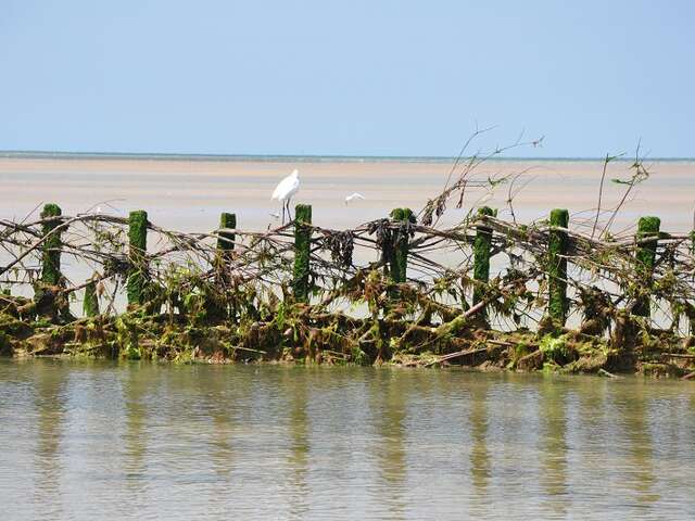 Visite de la pêcherie 