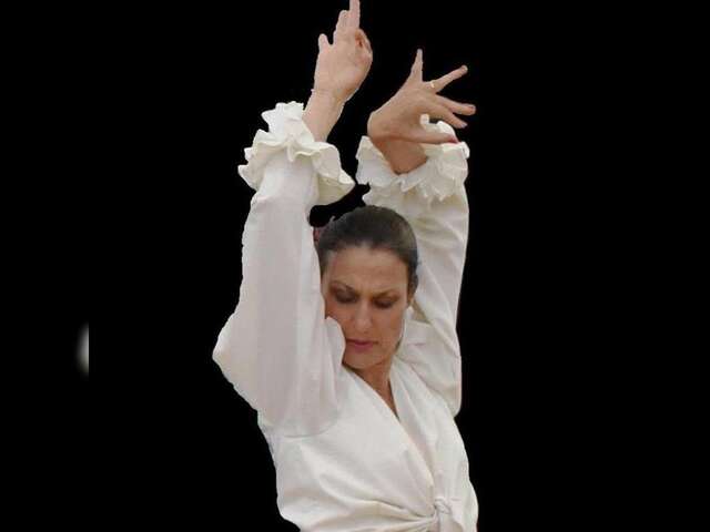 Initiation au flamenco