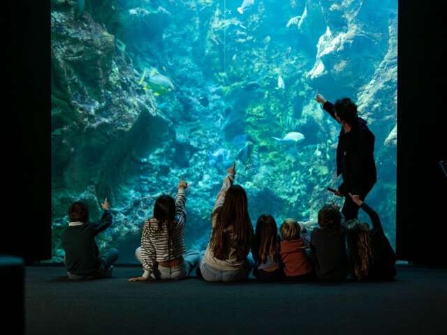 La Cité de la Mer
