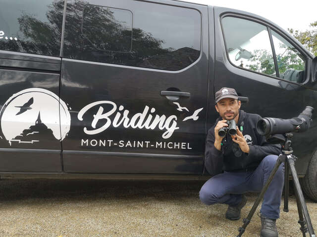 Birding Mont-Saint-Michel