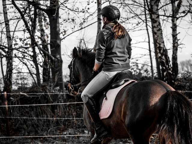 Centre Equestre du Val de Sienne