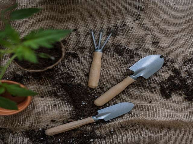 Atelier horticulture et arts des jardins