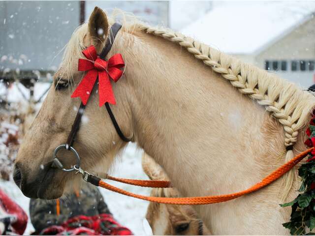 Marché de Noël au château : ateliers enfant, balades en calèche...