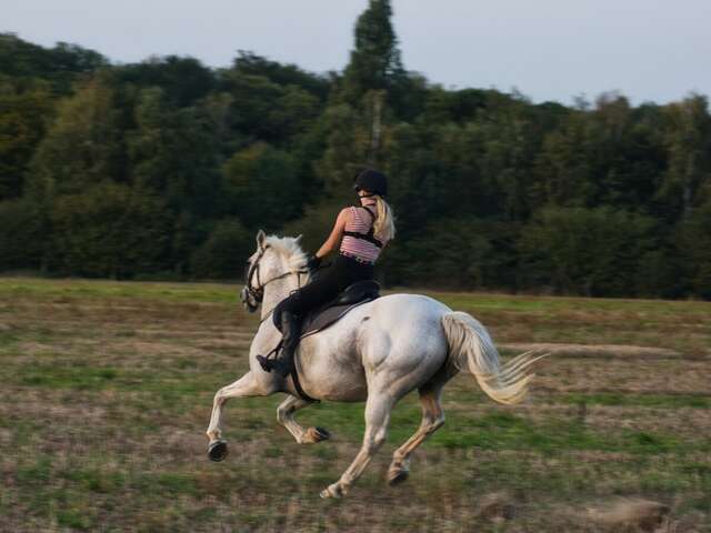 Concours complet d'équitation