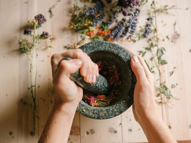 Stage plantes (aromathérapie et fabrication de produits)