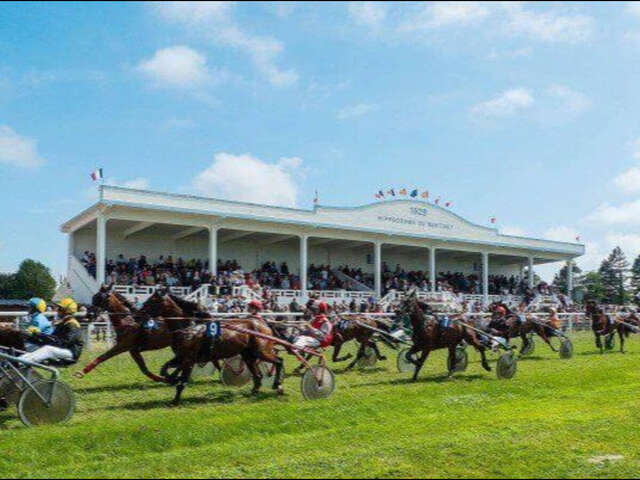 Courses hippiques : trot attelé