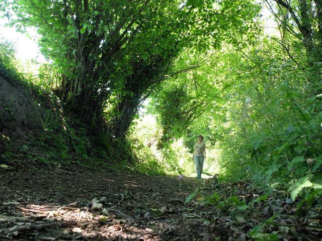 Au cœur de la vallée du Boscq
