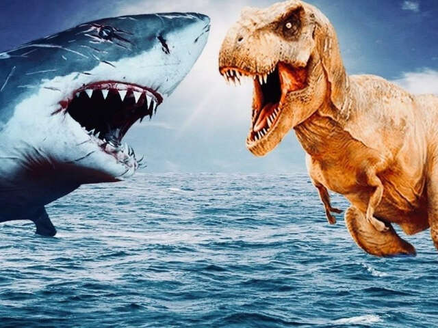 Jurassic Shark