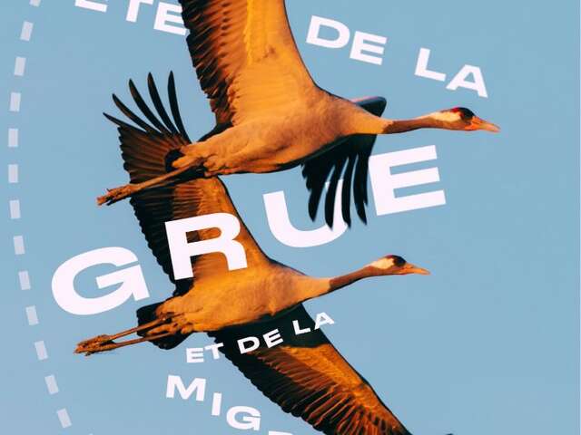 Fête de la Grue et de la migration