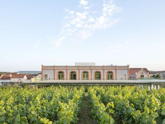 Vignobles en Scène : Animations inédites et experiences immersives chez Pressoria