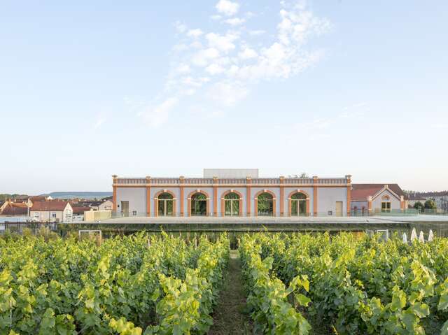 Pressoria - Voyage sensoriel au cœur de la Champagne