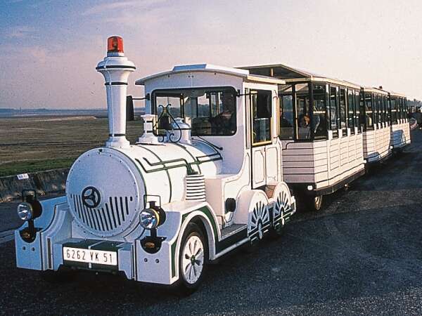 Train aux oiseaux