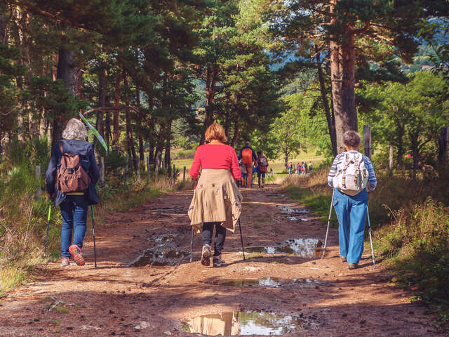 Escapades : Randonnée au cœur de la forêt du Val à la découverte du vénérable gros chêne et du grand étang