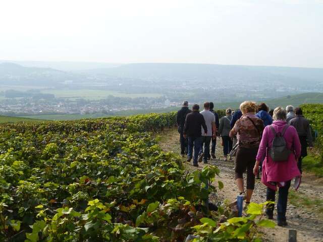 Le Sentier du Vigneron