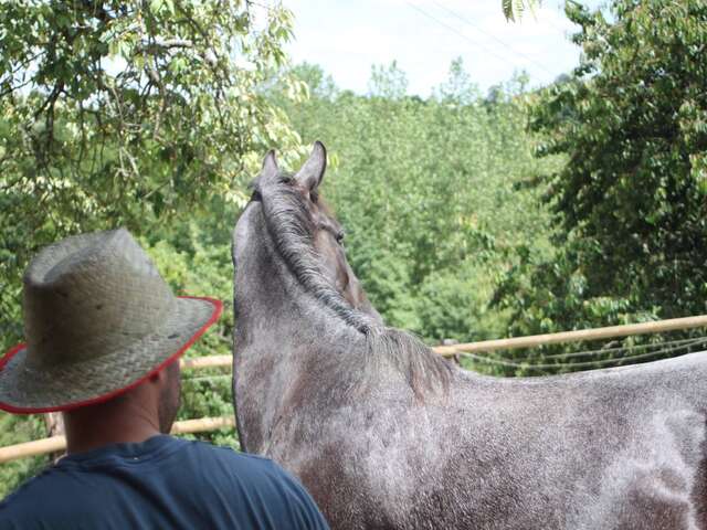 CENTRE ÉQUESTRE DU HAUT FÈVRE
