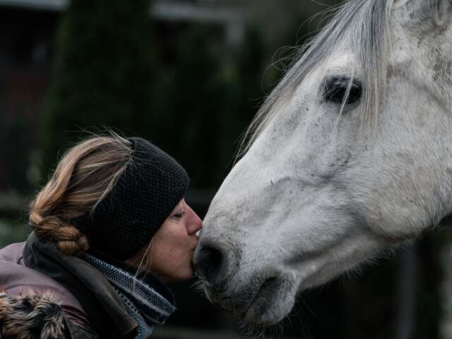 LE DOMAINE DES ÉCUYERS