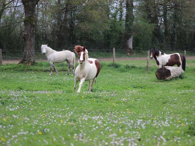 CENTRE EQUESTRE DE LA CHEVRIE